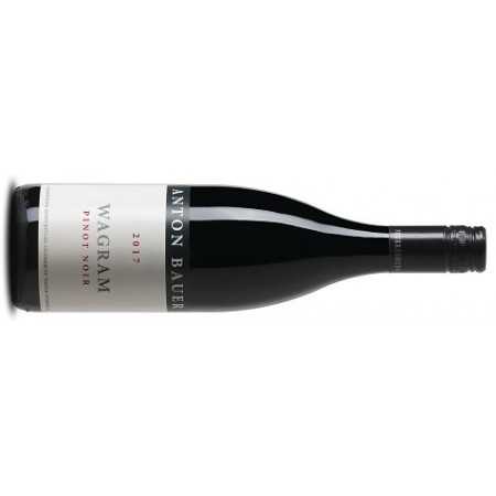 Bauer Anton Pinot Noir Wagram - 6er Karton