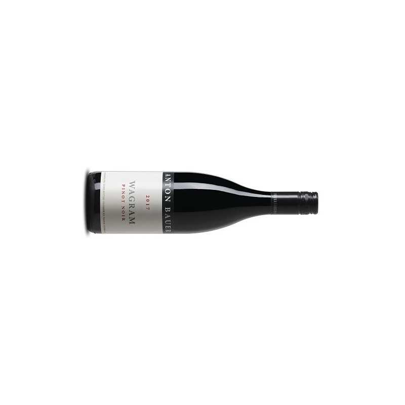 Bauer Anton Pinot Noir Wagram - 6er Karton