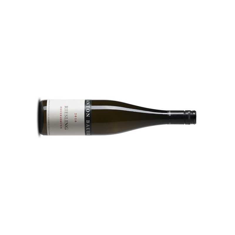 Bauer Anton Riesling Alte Reben - 6er Karton