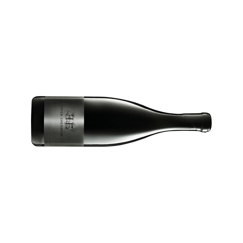 Ebner-Ebenauer Pinot Noir Black Edition - 6er Karton