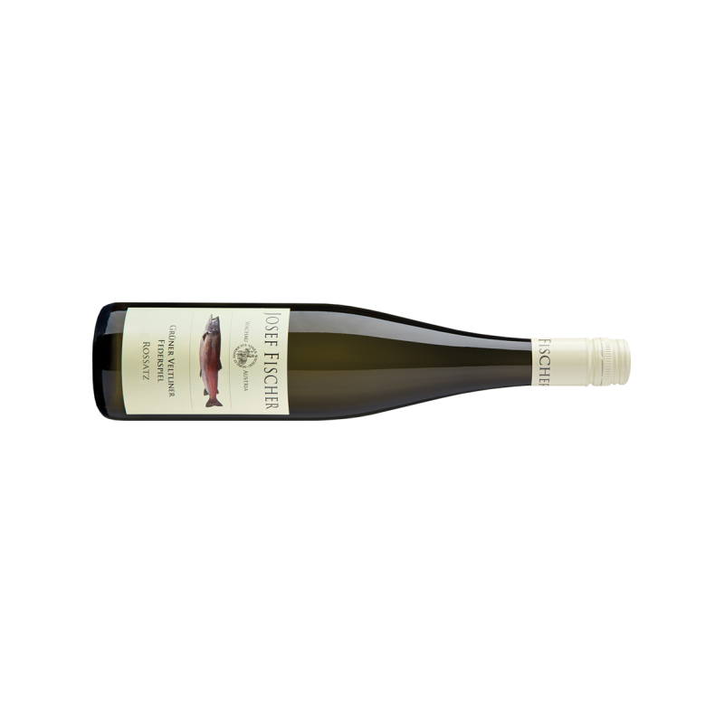 Josef Fischer Grüner Veltliner Rossatz Federspiel - 6er Karton