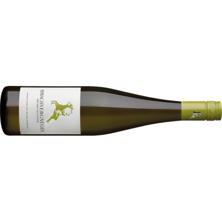 Hirsch Grüner Veltliner BIO Hirschvergnügen Kamptal DAC - 6er Karton