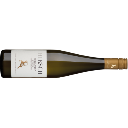 Hirsch Grüner Veltliner Lamm Kamptal DAC Reserve BIO - 6er Karton