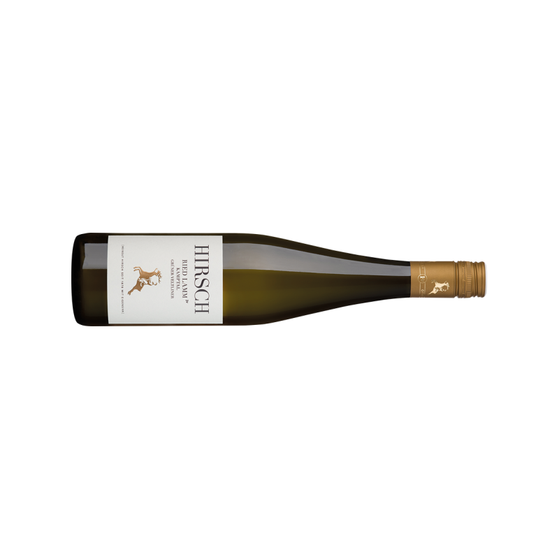 Hirsch Grüner Veltliner Lamm Kamptal DAC Reserve BIO - 6er Karton