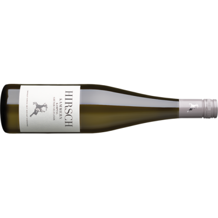 Hirsch Grüner Veltliner Kammern Kamptal DAC BIO - 6er Karton