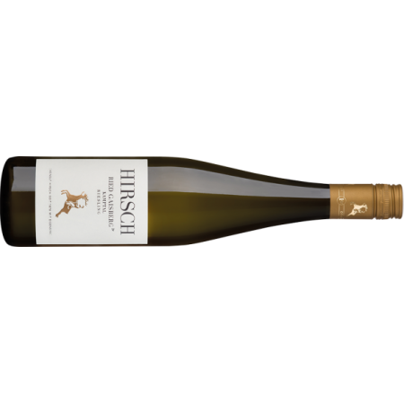 Hirsch Riesling Gaisberg Kamptal DAC Reserve BIO - 6er Karton