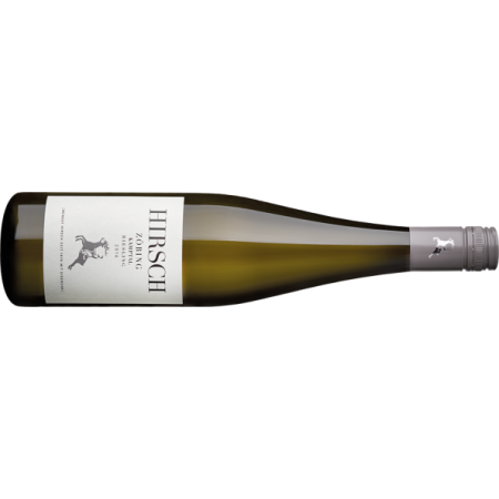 Hirsch Riesling Zöbing Kamptal DAC BIO - 6er Karton