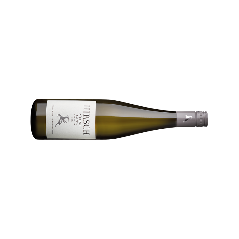 Hirsch Riesling Zöbing Kamptal DAC BIO - 6er Karton