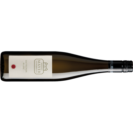 Mayer Am Pfarrplatz Sauvignon Blanc - 6er Karton