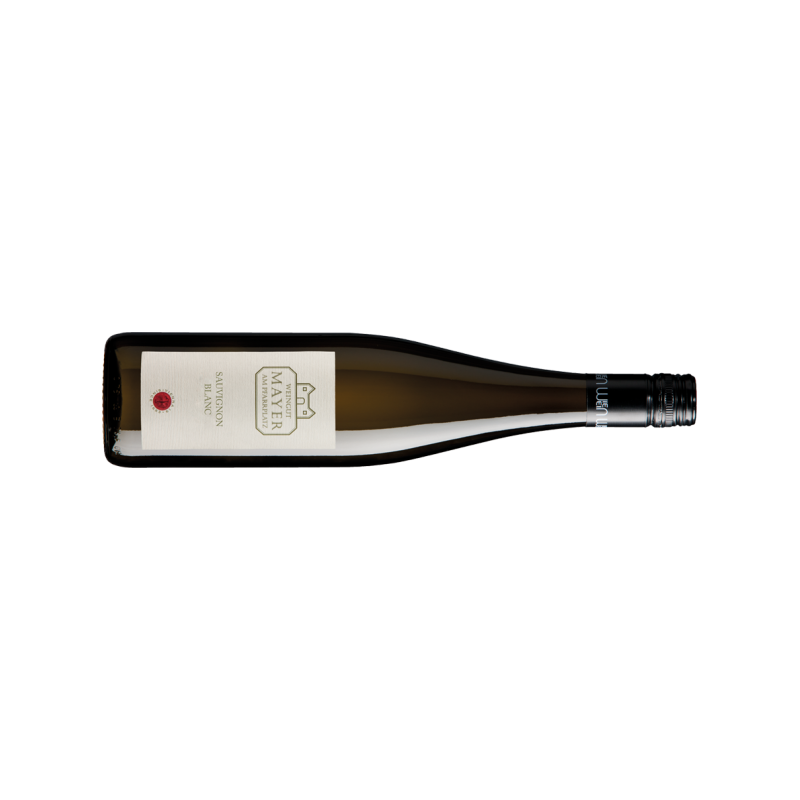 Mayer Am Pfarrplatz Sauvignon Blanc - 6er Karton