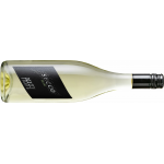 Pfaffl Secco Blanc  - 6er Karton