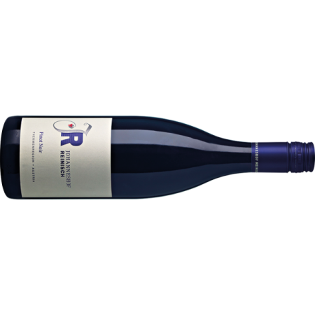 Reinisch Pinot Noir BIO - 6er Karton