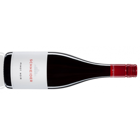 Schneider Pinot Noir BIO - 6er Karton