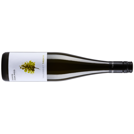 Schödl Grüner Veltliner Blumenthal BIO - 6er Karton