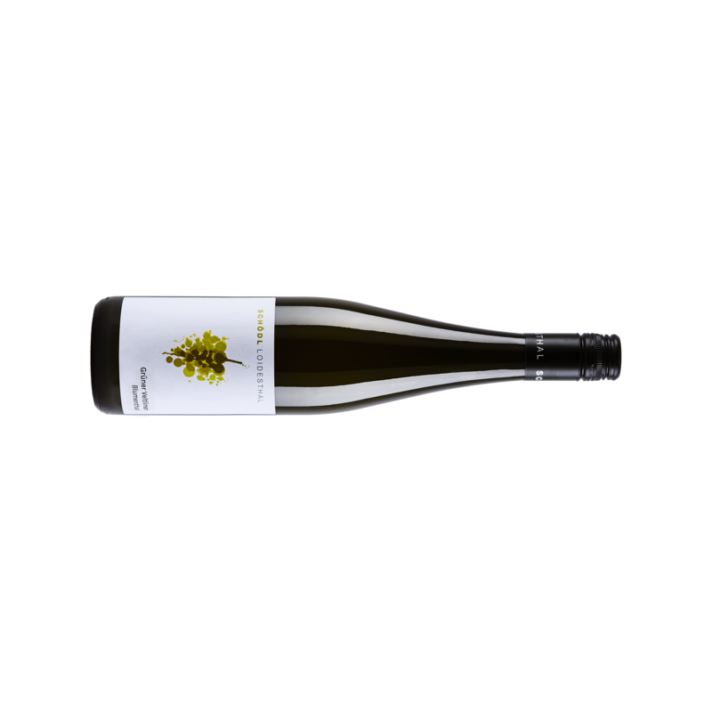 Schödl Grüner Veltliner Blumenthal BIO - 6er Karton