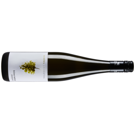 Schödl Sauvignon Blanc BIO - 6er Karton