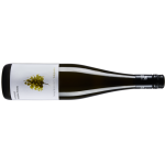 Schödl Sauvignon Blanc BIO - 6er Karton