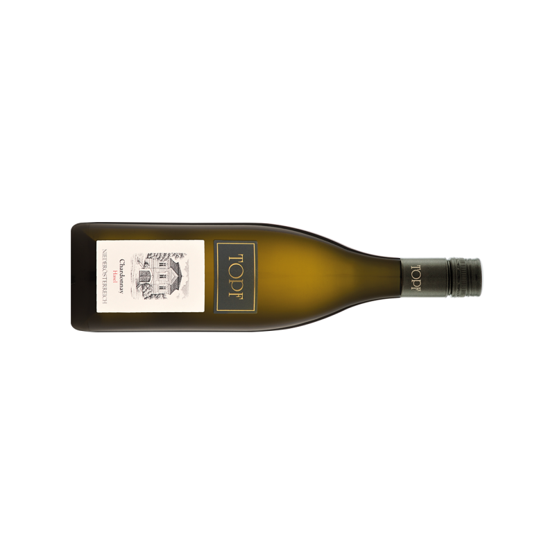 Topf Chardonnay Hasel - 6er Karton