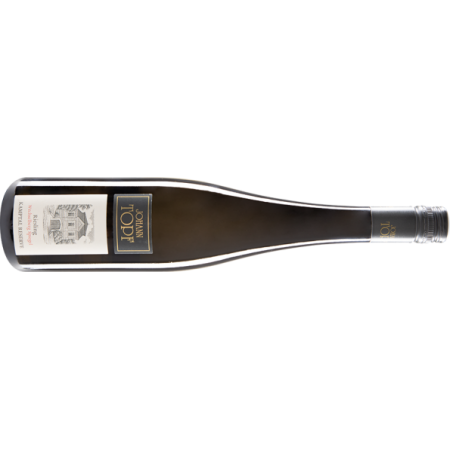 Topf Riesling Wechselberg Spiegel Kamptal DAC Reserve - 6er Karton