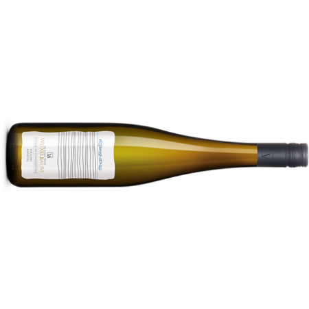 Weixelbaum Riesling Strasser Kamptal DAC - 6er Karton