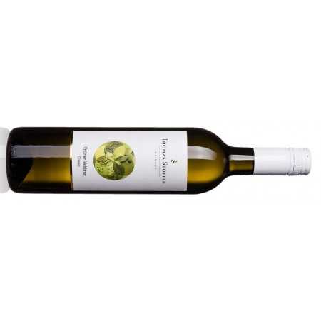 Stopfer Grüner Veltliner Classic 2023