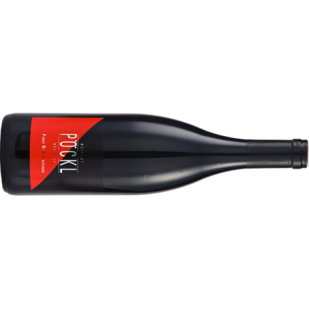 Pöckl  Pinot Noir Classique - 6er Karton