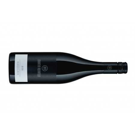 Reinfeld Martin VIER 2023