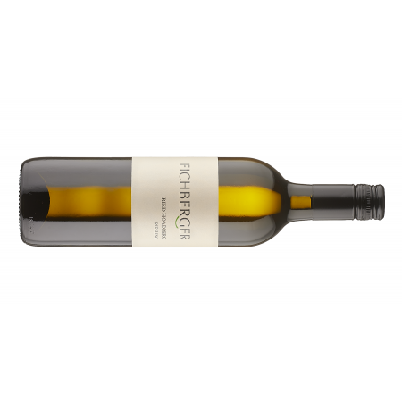 Eichberger Riesling Ried Hoadberg 2024