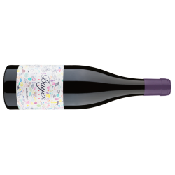 Bayer Erbhof Pinot Noir Untouched 2023