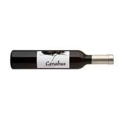 Bayer Erbhof Carabus SÜSS 2014