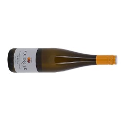 Edlinger Gelber Muskateller 2025 BIO