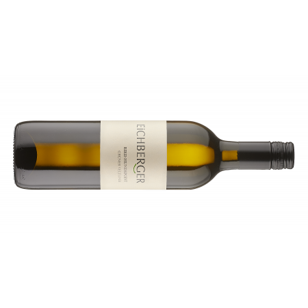 Eichberger Grüner Veltliner Ried Hundspointen 2024