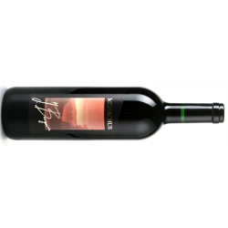 Berger Leginthov Monachus 2020