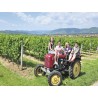 Edlinger Wachau  Weinpaket-6er