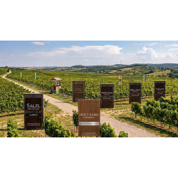 Intensiv & Opulent Rot- Weinpaket-12er