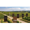 Intensiv & Opulent Rot- Weinpaket-12er