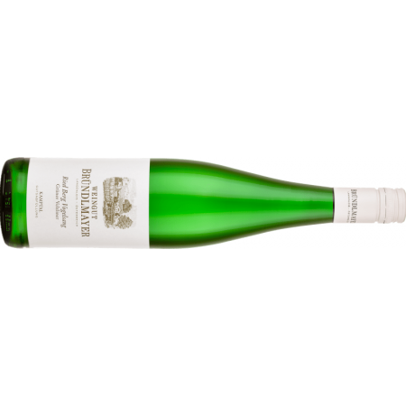 Bründlmayer Grüner Veltliner Berg Vogelsang Kamptal DAC - BIO - 6er Karton