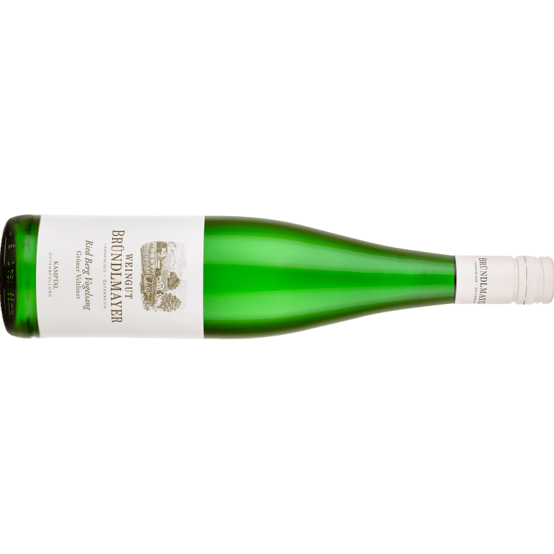 Bründlmayer Grüner Veltliner Berg Vogelsang Kamptal DAC - BIO - 6er Karton