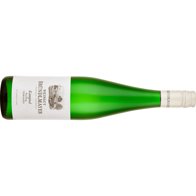 Bründlmayer Riesling Kamptaler Terrassen Kamptal DAC - BIO - 6er Karton