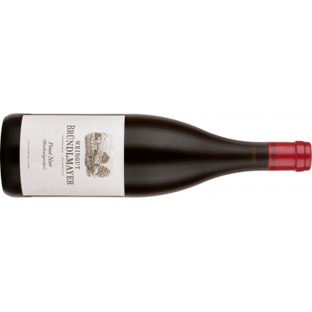 Bründlmayer Pinot Noir - BIO - 6er Karton