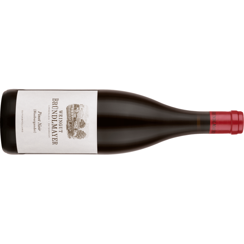 Bründlmayer Pinot Noir - BIO - 6er Karton