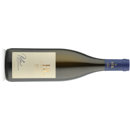 Polz Erich & Walter Sauvignon Blanc Hochgrassnitzberg Große STK Lage - 6er Karton