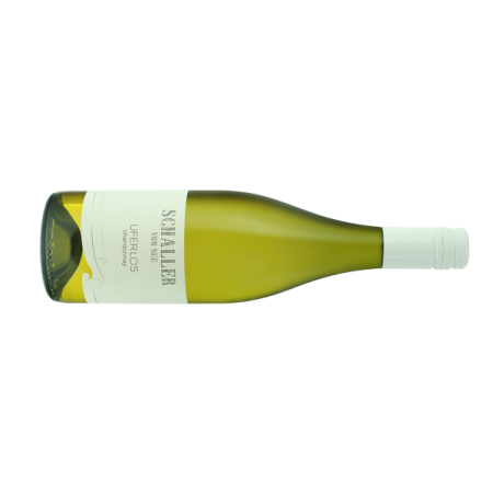 Schaller Chardonnay Uferlos - 6er Karton