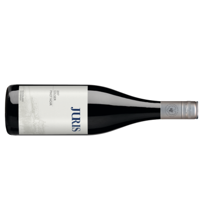 Stiegelmar Juris Pinot Noir - 6er Karton