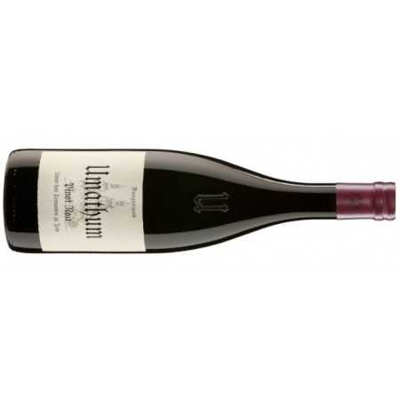 Umathum Pinot Noir Unter den Terrassen zu Jois - 6er Karton