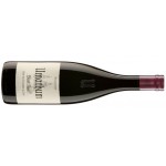 Umathum Pinot Noir Unter den Terrassen zu Jois - 6er Karton