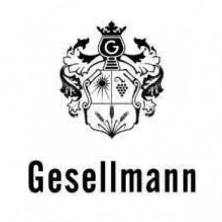 Gesellmann Albert