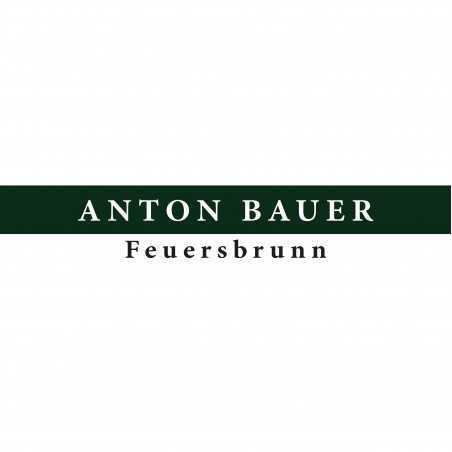 Bauer Anton